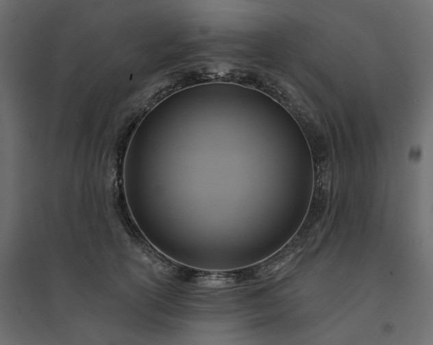 X0000094420754200711211410