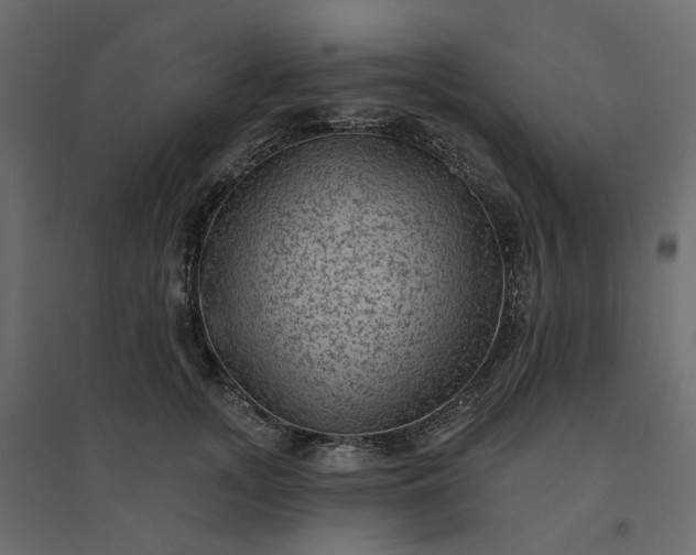 X0000094420755200711211410