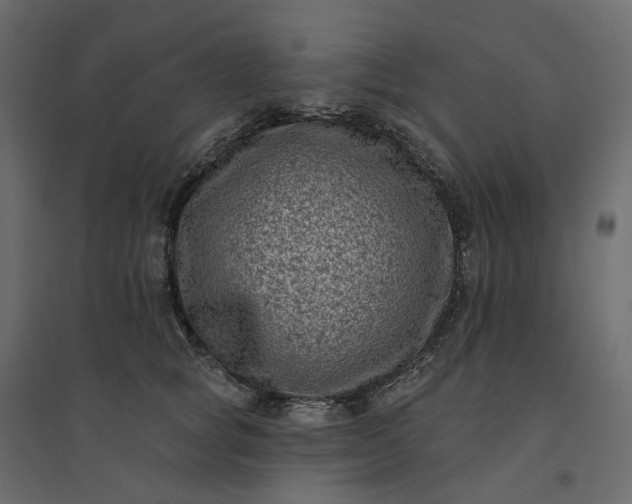 X0000094420757200711211410