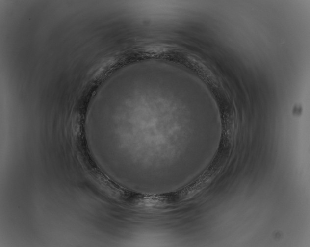 X0000094420758200711211410