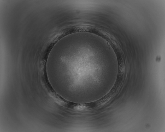 X0000094420759200711211410