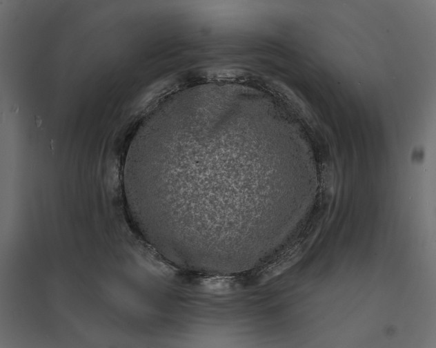 X0000094420761200711211410