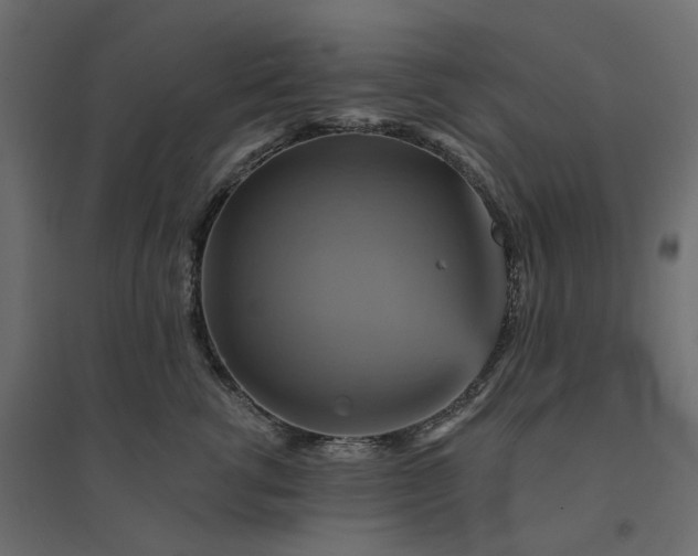 X0000094420762200711211410