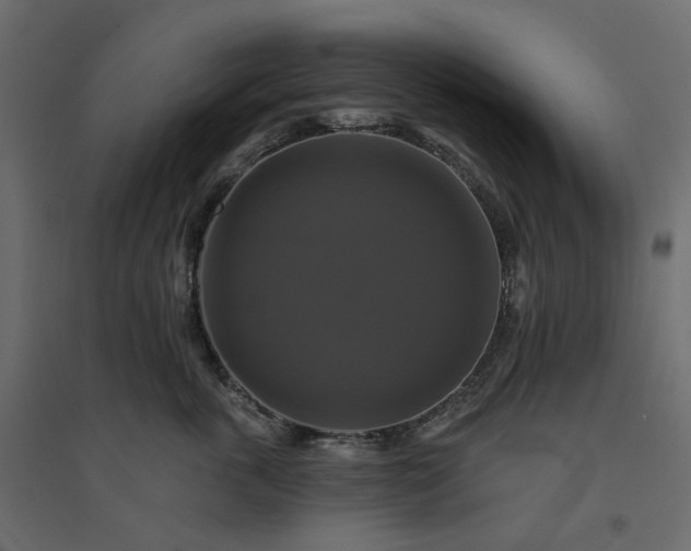 X0000094420763200711211410