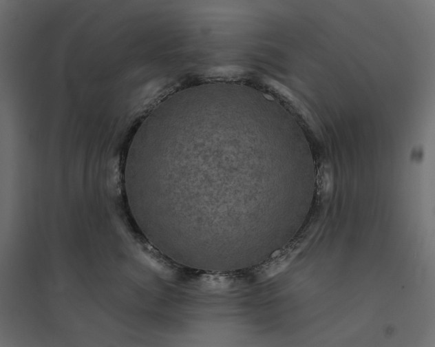 X0000094420764200711211410