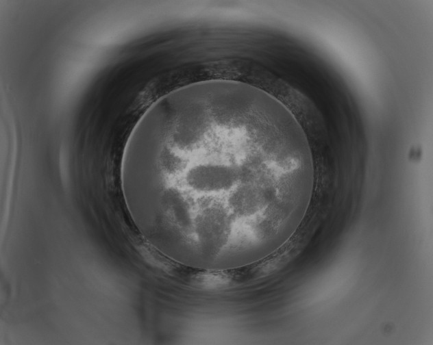 X0000094420765200711211410