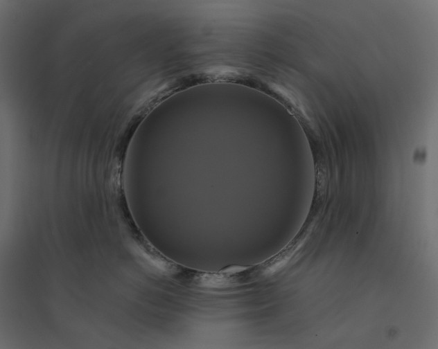 X0000094420766200711211410