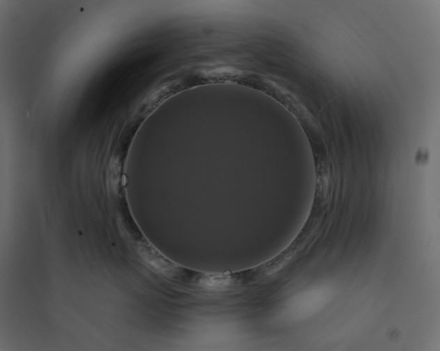 X0000094420767200711211410