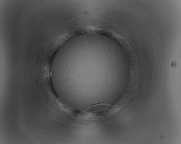 X0000094420768200711211410