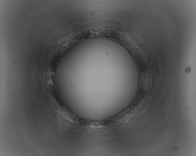 X0000094420770200711211409