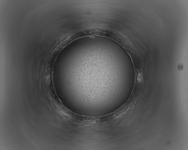 X0000094420771200711211409
