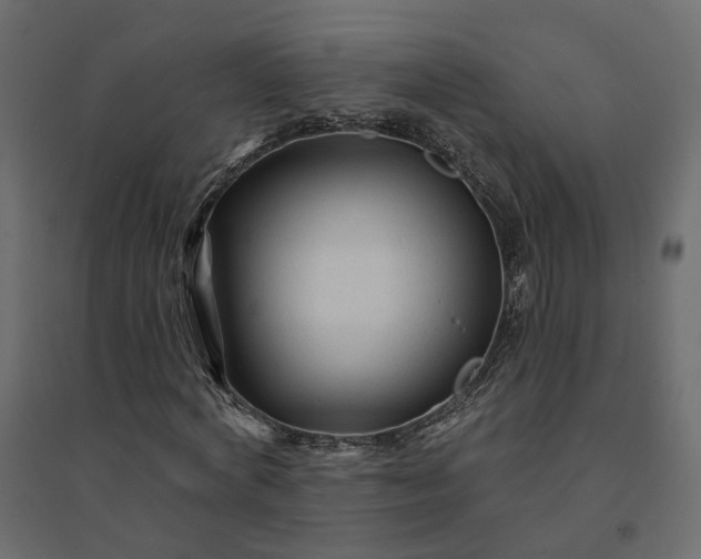 X0000094420772200711211409
