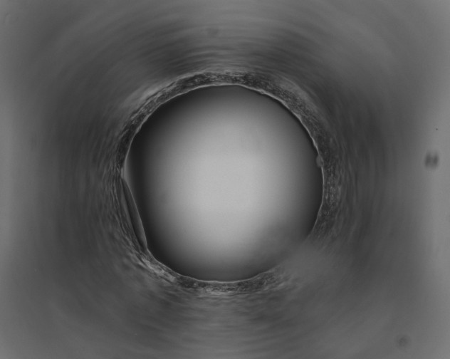 X0000094420773200711211409