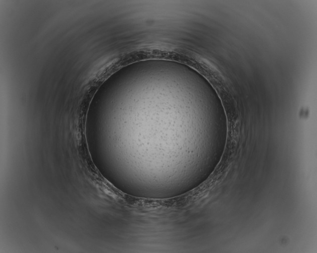 X0000094420774200711211409