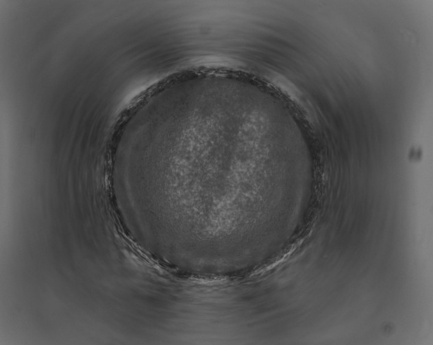 X0000094420775200711211409