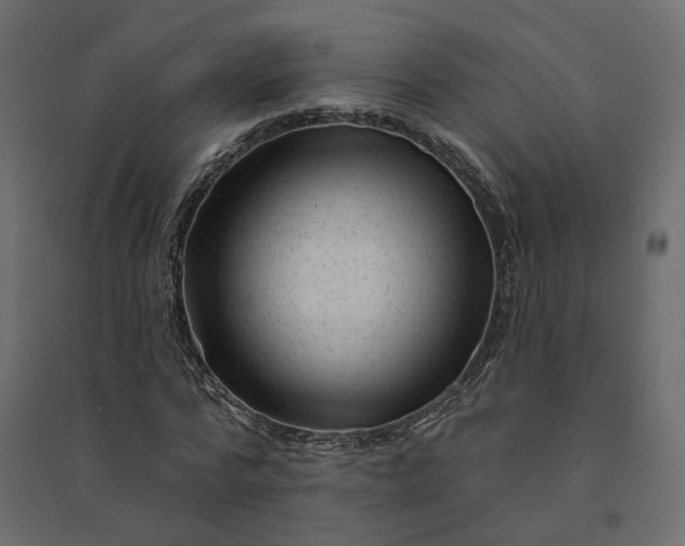 X0000094420776200711211409