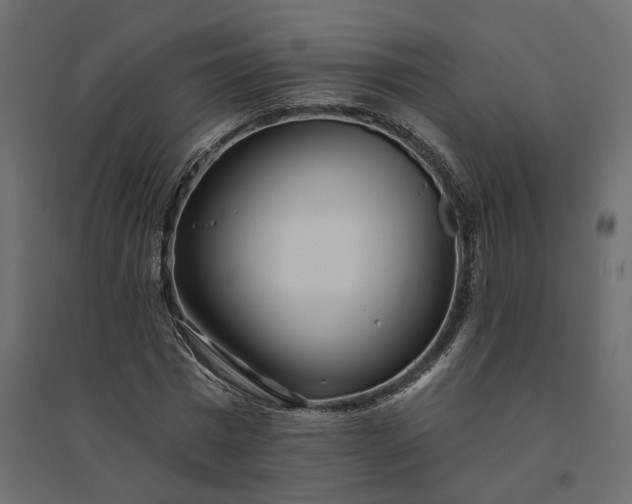 X0000094420777200711211409