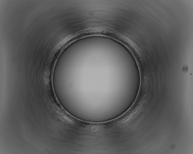 X0000094420778200711211409