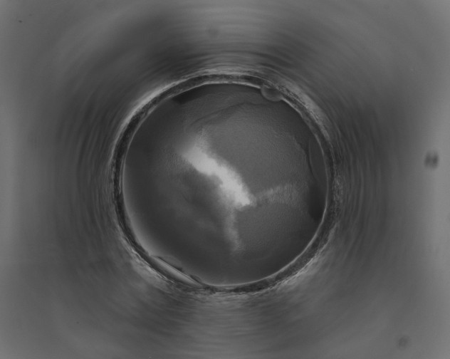 X0000094420779200711211409