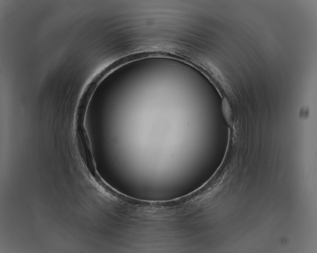 X0000094420780200711211409