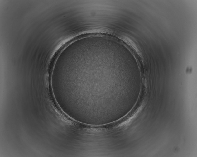 X0000094420781200711211409