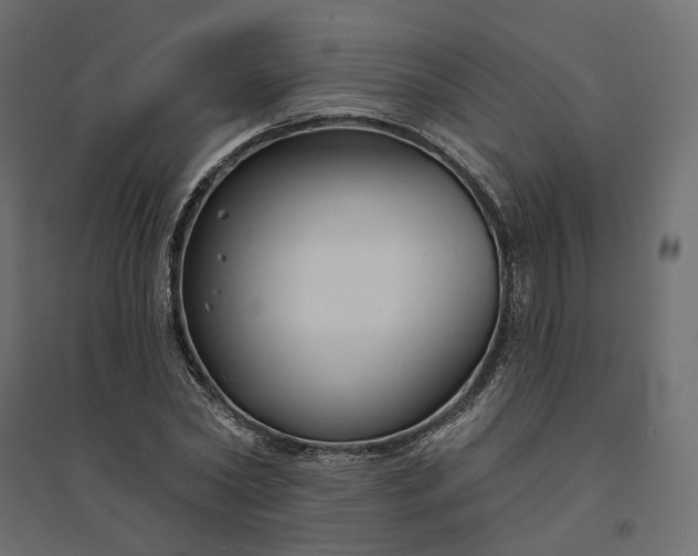 X0000094420782200711211409