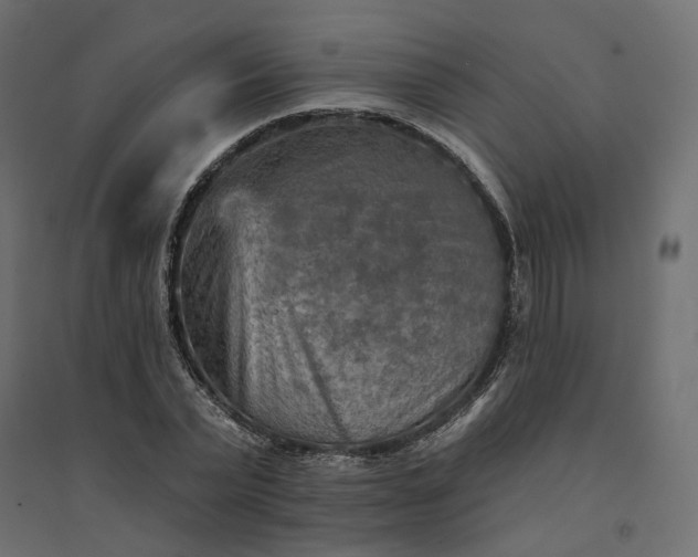 X0000094420783200711211409