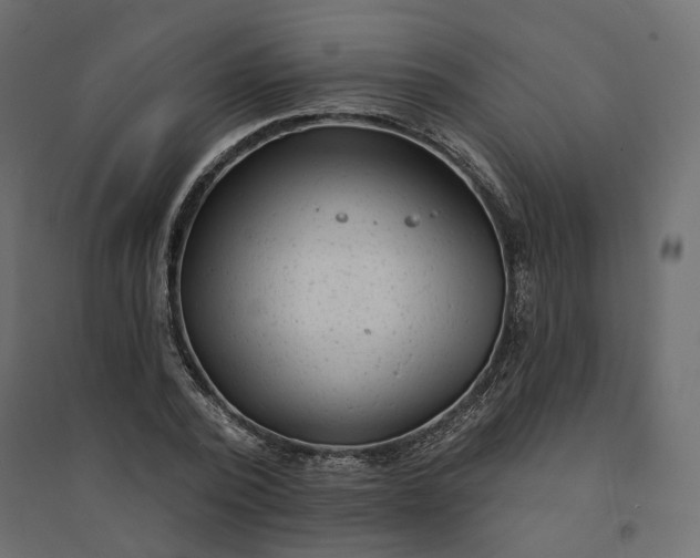 X0000094420784200711211409