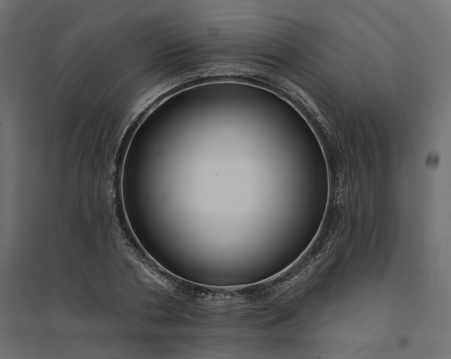 X0000094420786200711211409