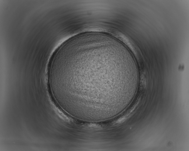 X0000094420787200711211409