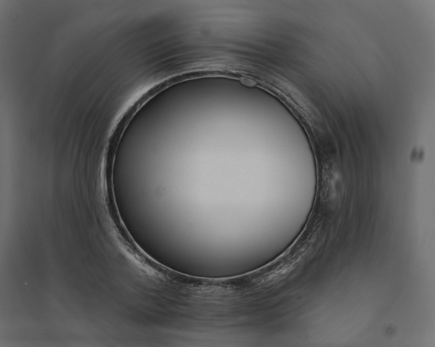 X0000094420788200711211409