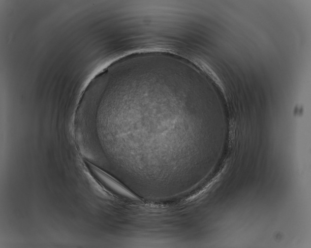 X0000094420789200711211409