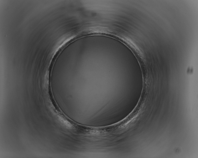 X0000094420790200711211409