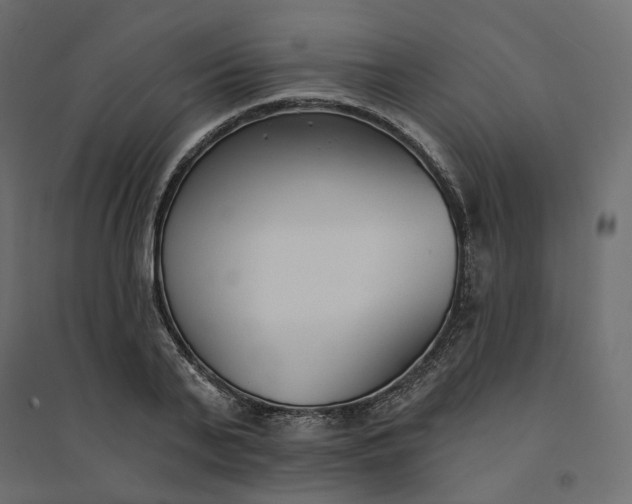 X0000094420791200711211409