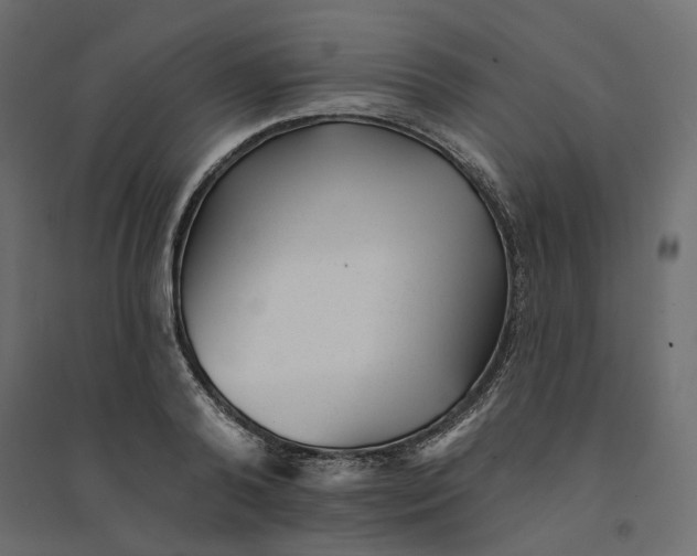 X0000094420792200711211409