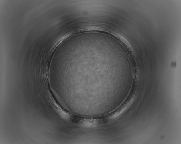 X0000094420793200711211409