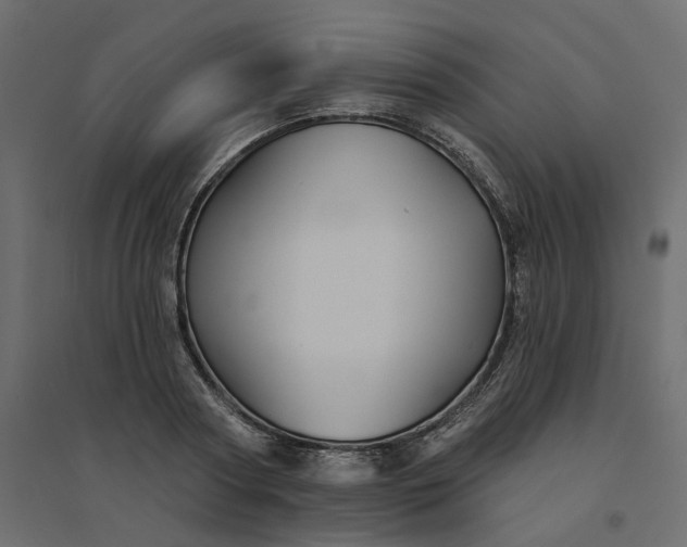 X0000094420794200711211409