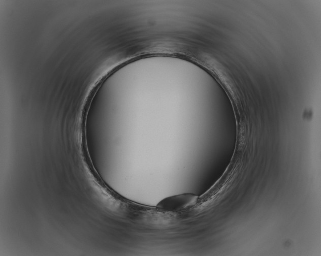 X0000094420795200711211409
