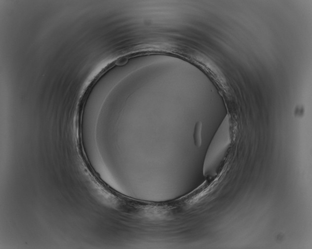X0000094420796200711211409