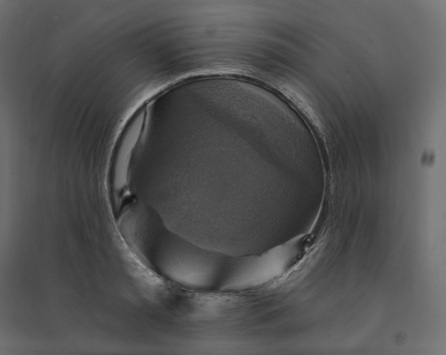 X0000094420797200711211409