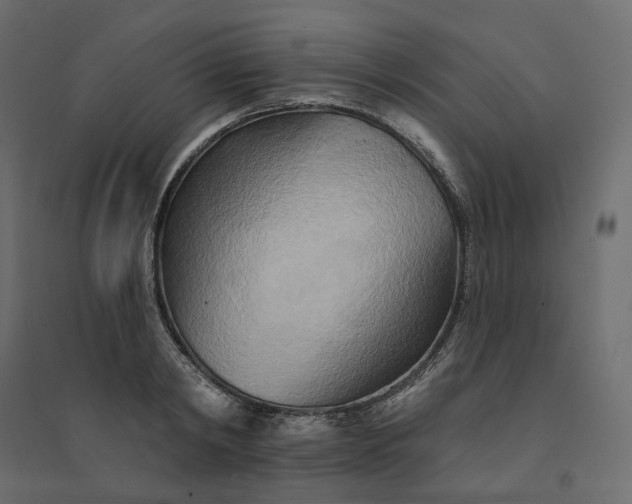X0000094420798200711211409