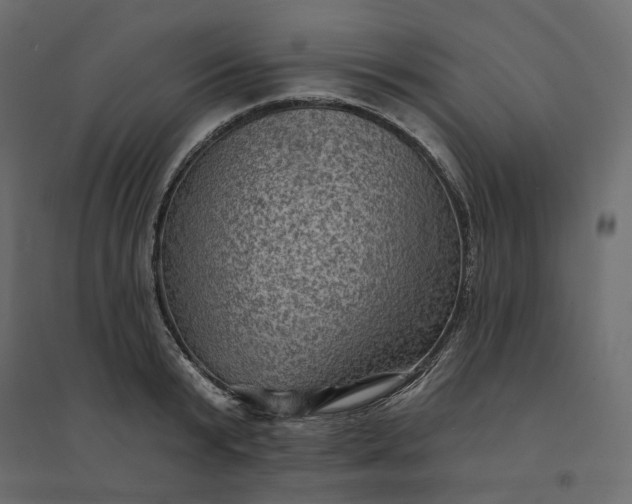 X0000094420799200711211409