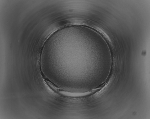 X0000094420801200711211409