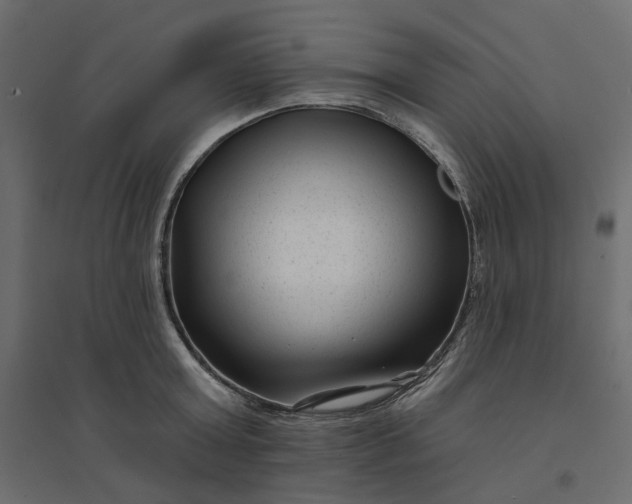 X0000094420803200711211409