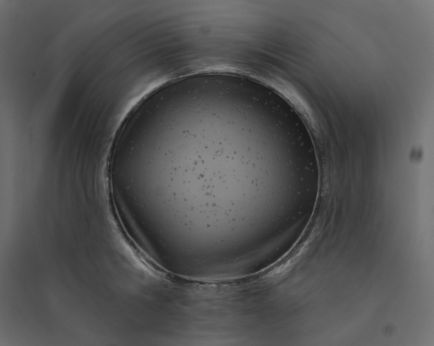 X0000094420806200711211409
