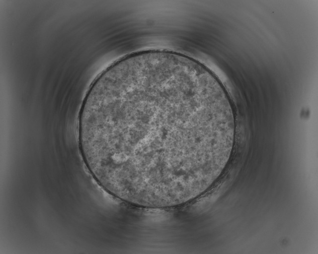 X0000094420807200711211409