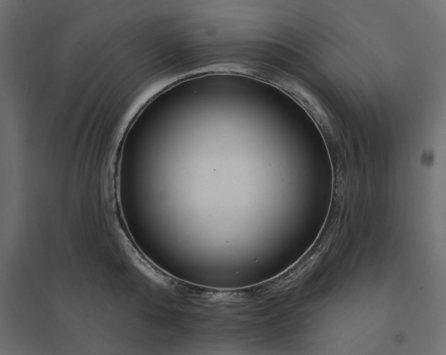 X0000094420808200711211409