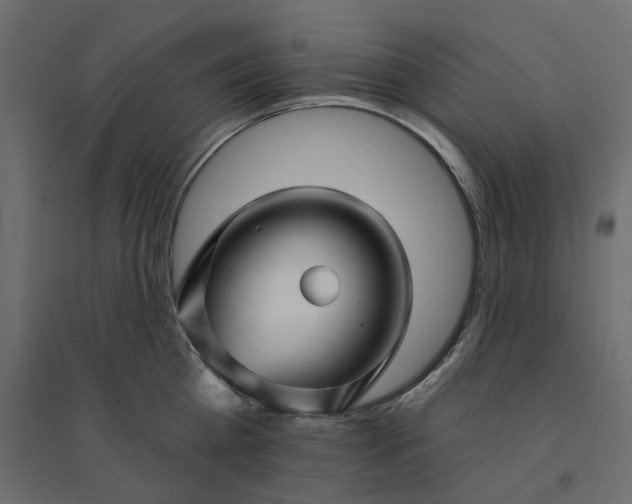 X0000094420809200711211409