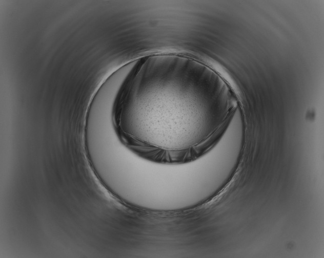 X0000094420810200711211409