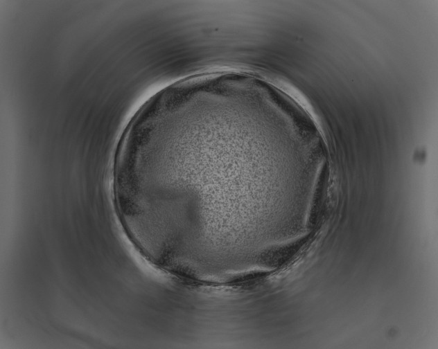 X0000094420811200711211409